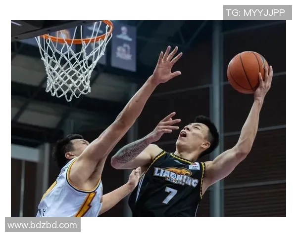 今天辽宁对阵吉林精彩回放全程回顾与赛后分析尽在这里